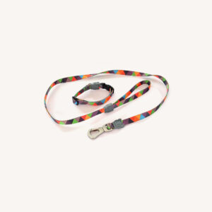 Colorful Cat Leash